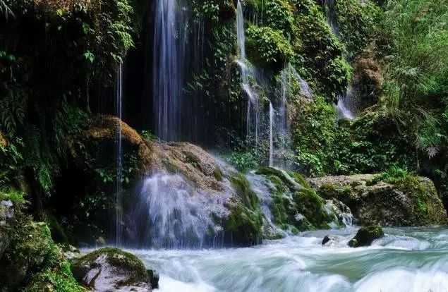 贵阳富硒大米(富硒大米哪里有卖)-硒宝网