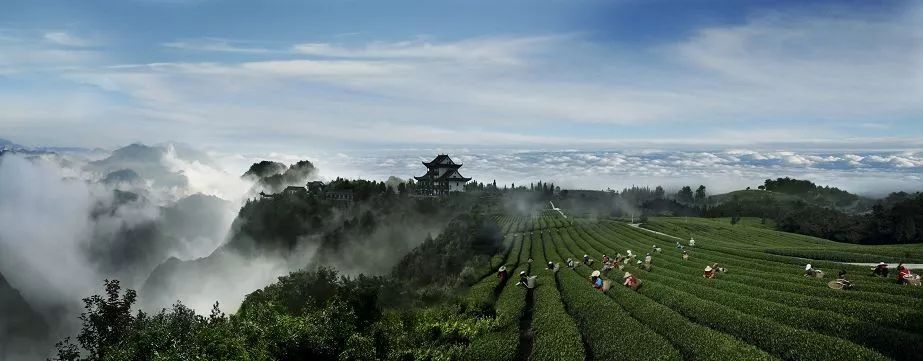 贵阳富硒大米(富硒大米哪里有卖)-硒宝网