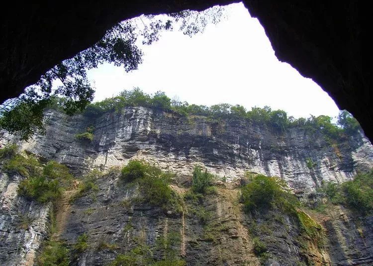 贵阳富硒大米(富硒大米哪里有卖)-硒宝网