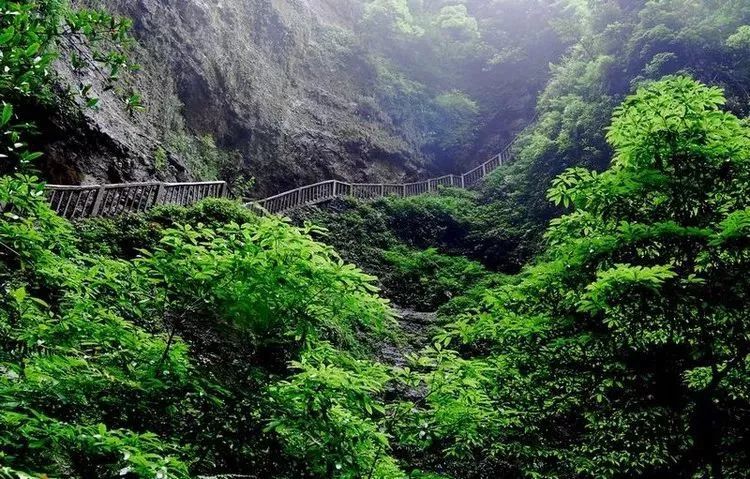 贵阳富硒大米(富硒大米哪里有卖)-硒宝网