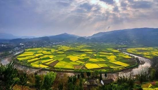 贵阳富硒大米(富硒大米哪里有卖)-硒宝网