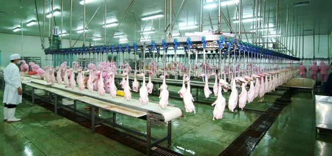 奉新富硒大米(富硒大米好吃吗)-硒宝网