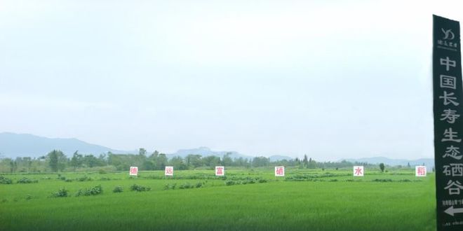 奉新富硒大米(富硒大米好吃吗)-硒宝网