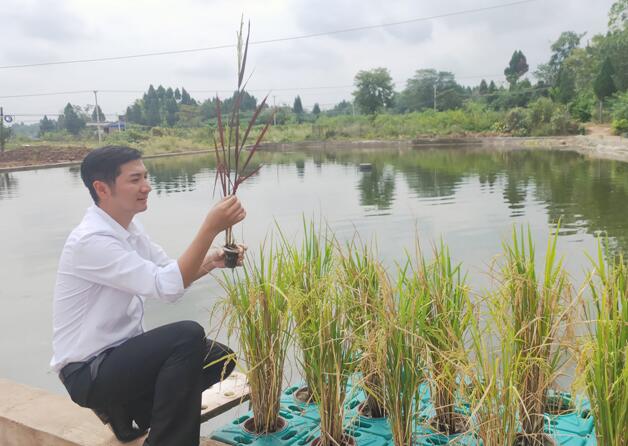 郑州富硒大米（富硒大米多少钱一袋）-硒宝网
