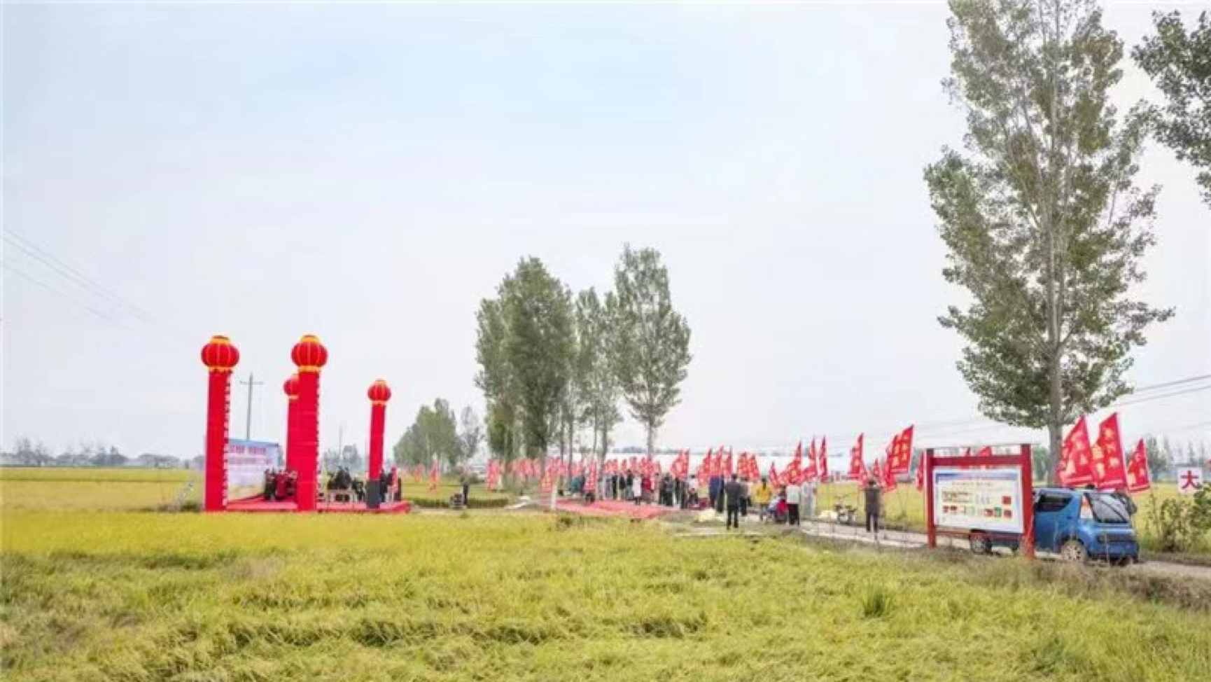 郑州富硒大米（富硒优质大米）-硒宝网