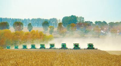桦川富硒大米（富硒优质大米）-硒宝网