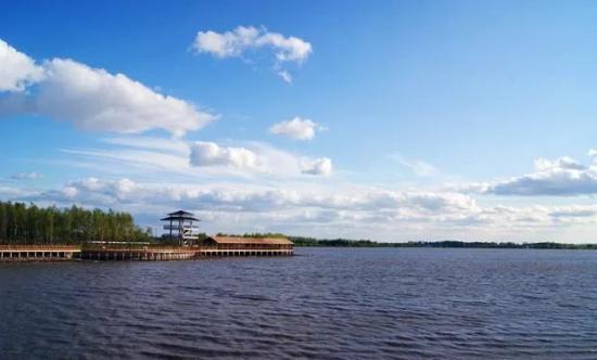 黑土富硒大米（富硒黑米和普通黑米营养对比表）-硒宝网