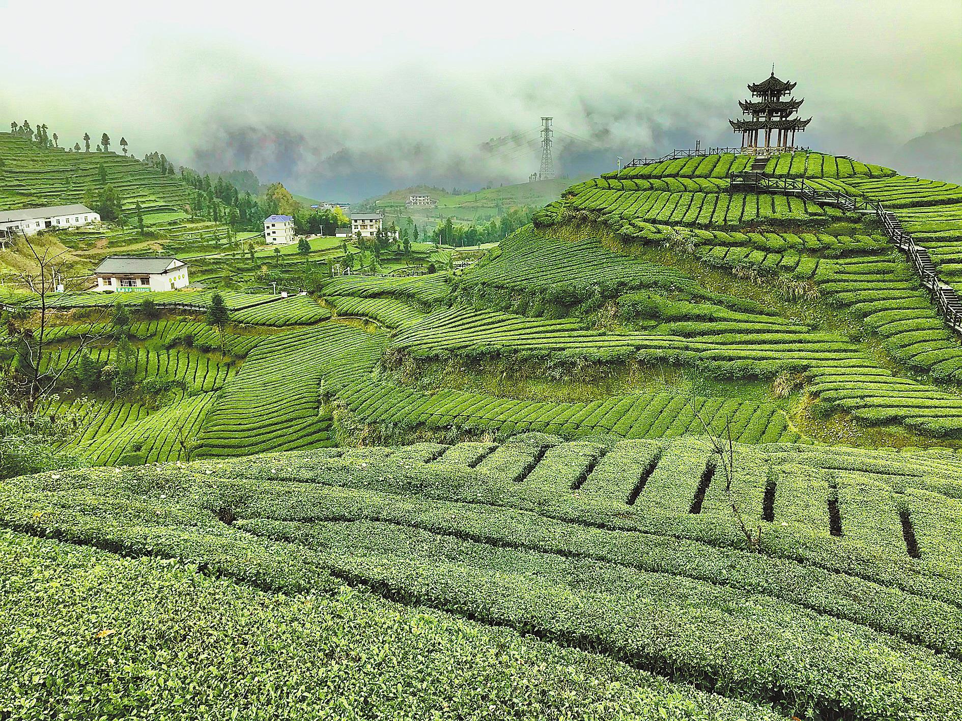 农耕富硒大米（大米农耕富硒产地）-硒宝网