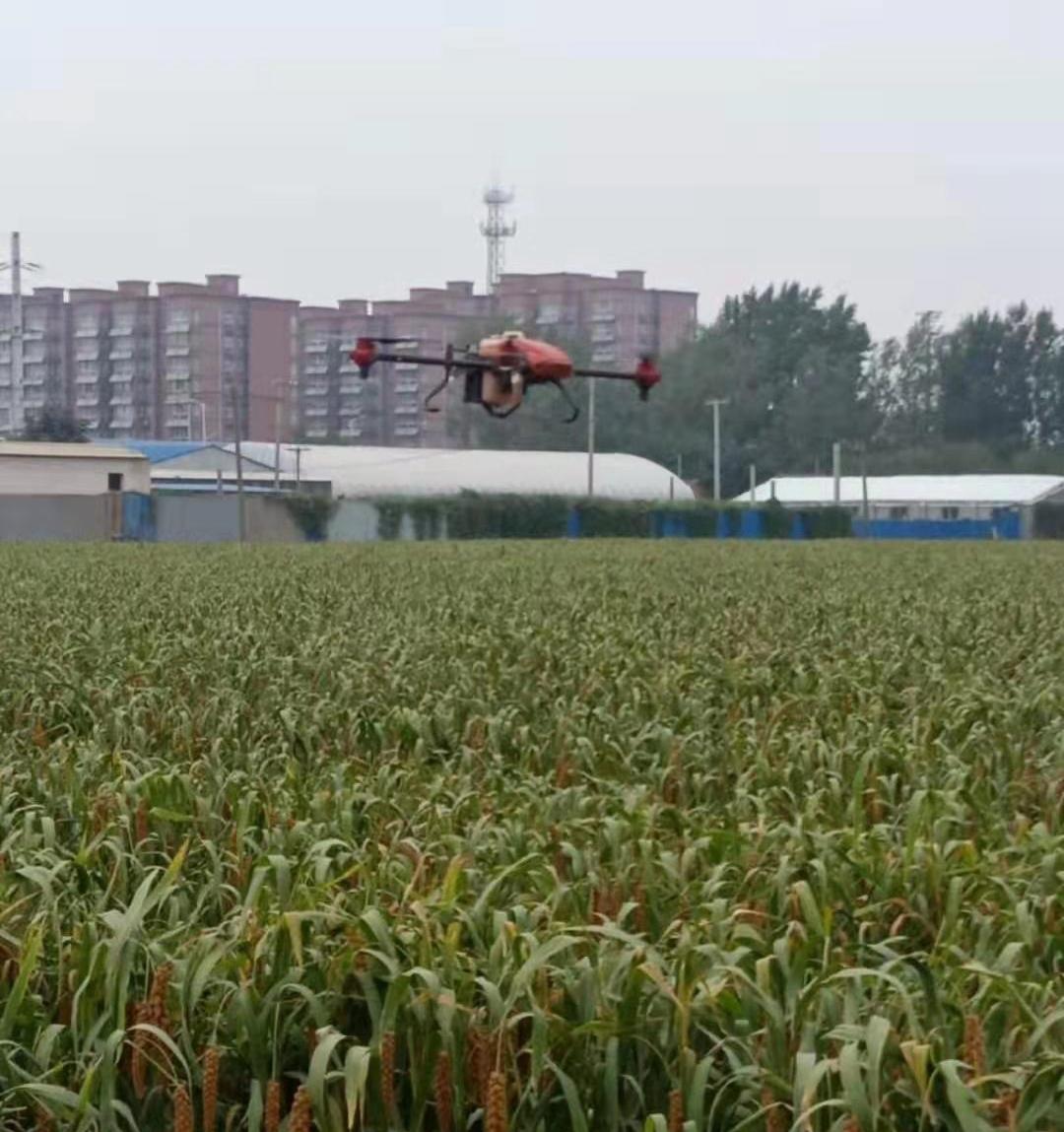郑州富硒大米(富硒大米基地)-硒宝网