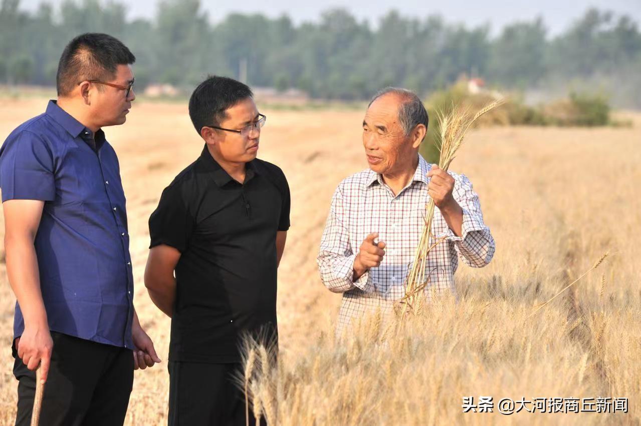 夏邑富硒大米（富硒的大米）-硒宝网