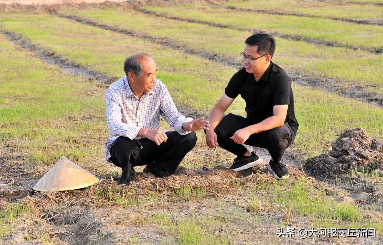 夏邑富硒大米（富硒的大米）-硒宝网