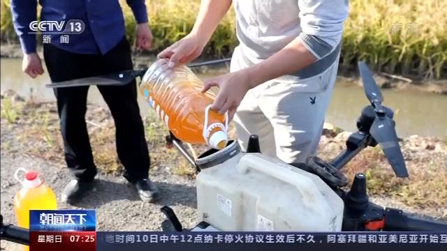 桦川富硒大米(富硒大米营养表)-硒宝网