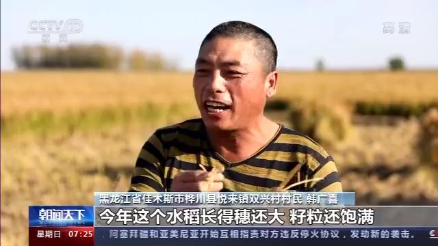 桦川富硒大米(富硒大米营养表)-硒宝网