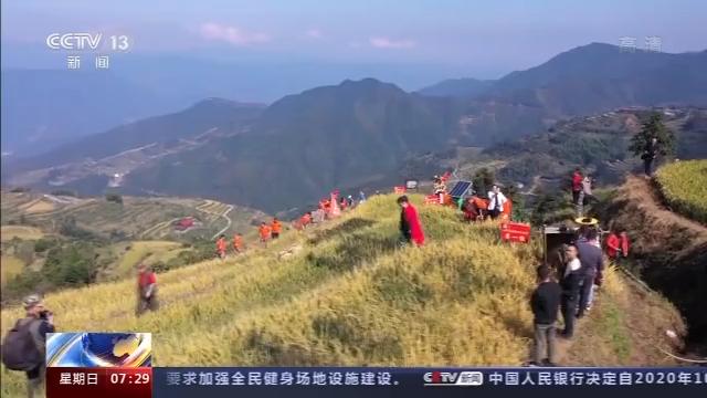 桦川富硒大米(富硒大米营养表)-硒宝网