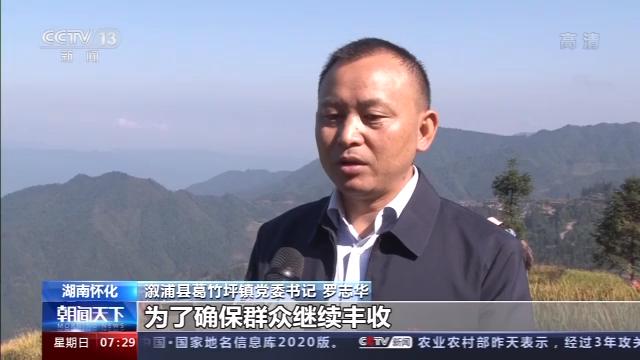 桦川富硒大米(富硒大米营养表)-硒宝网