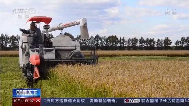 桦川富硒大米(富硒大米营养表)-硒宝网