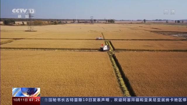 桦川富硒大米(富硒大米营养表)-硒宝网