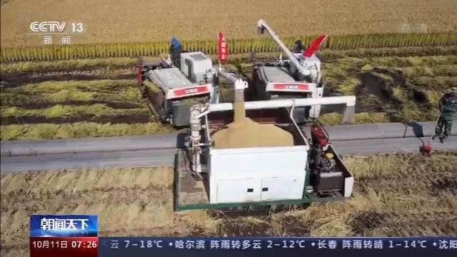 桦川富硒大米(富硒大米营养表)-硒宝网