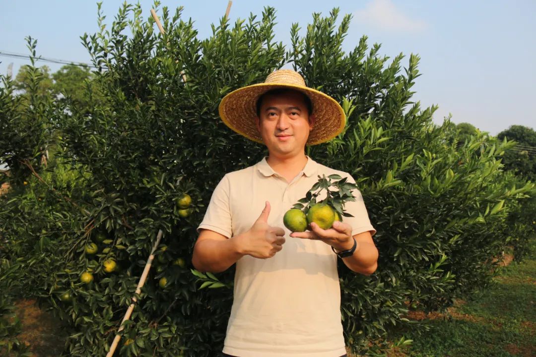 试种富硒大米(大米试种富硒的作用)-硒宝网