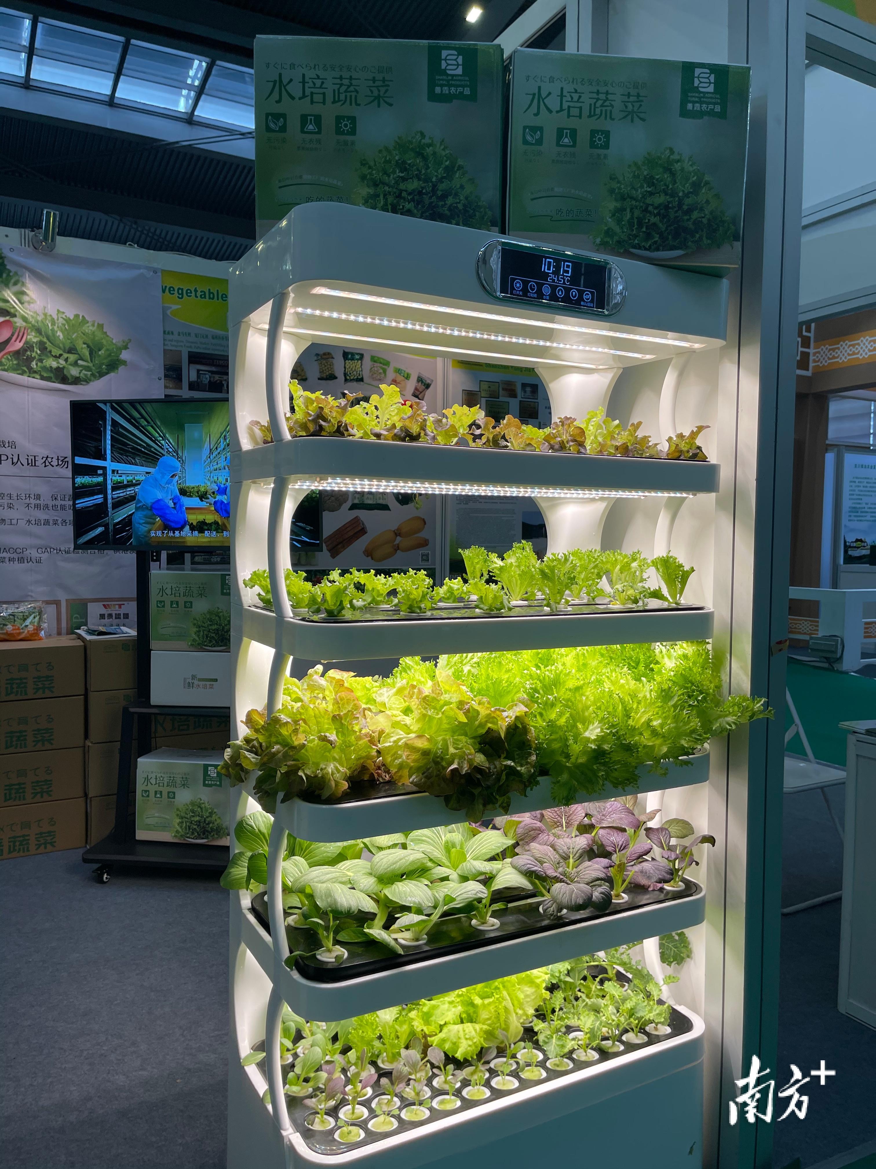 富硒大米上林(富硒大米的绿色骗局)-硒宝网