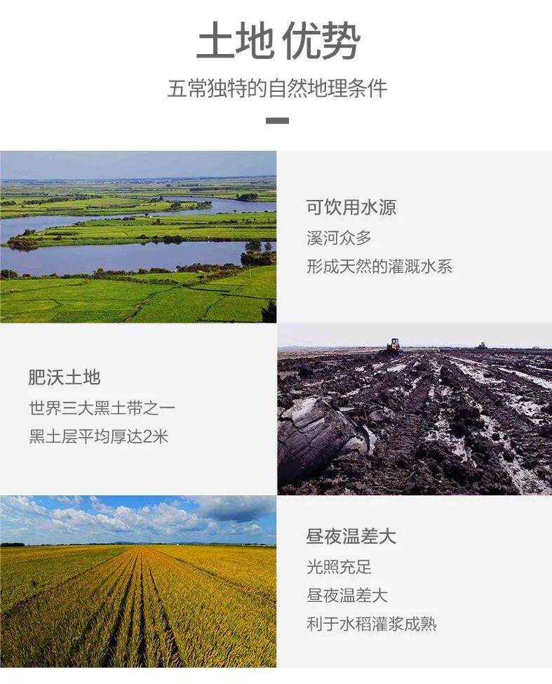 富硒大米特征(富硒大米成分表)-硒宝网