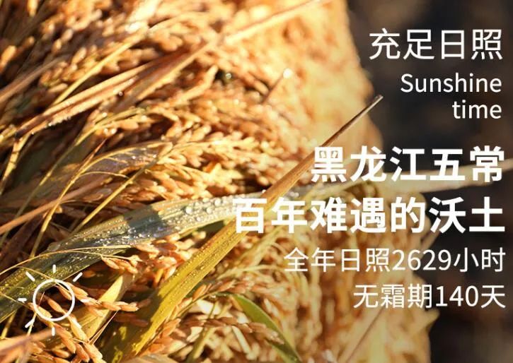 富硒大米特征(富硒大米成分表)-硒宝网