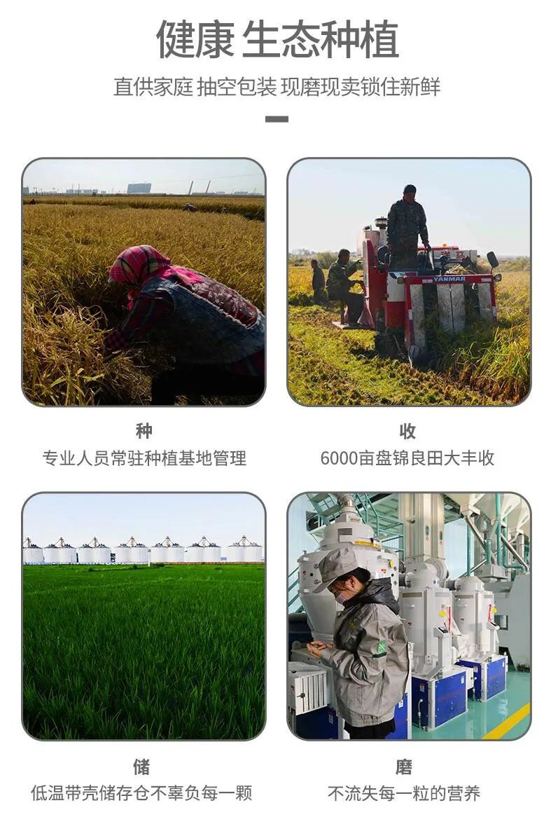 富硒大米特征(富硒大米成分表)-硒宝网