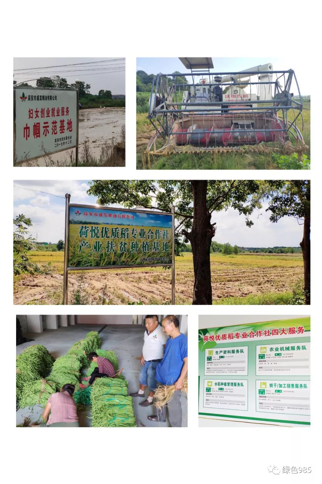 富硒大米证书(富硒大米的执行标准)-硒宝网