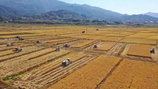 富硒大米灰色(灰色大米富硒含量多少)-硒宝网