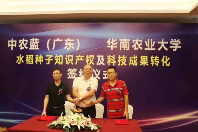 中农富硒大米（富硒大米中含有的主要营养素是）-硒宝网