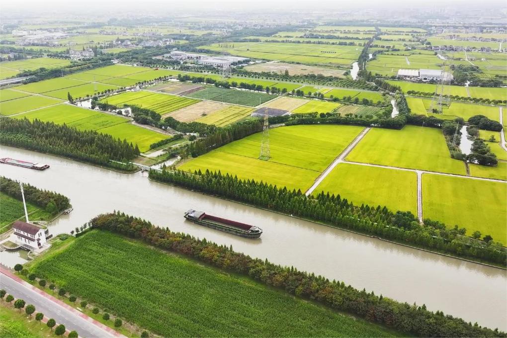 富硒大米灰色(灰色的大米是什么品种)-硒宝网