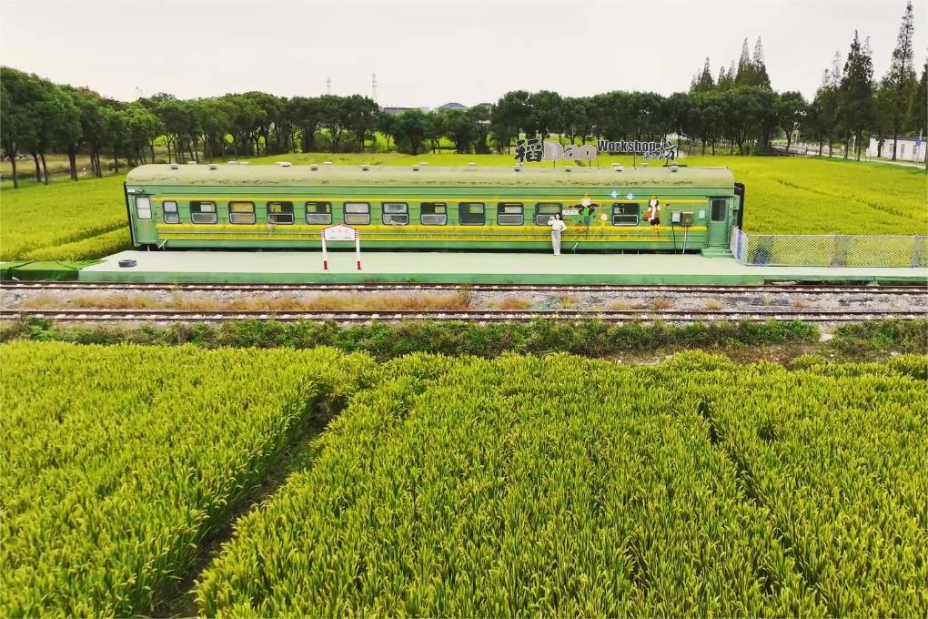 富硒大米灰色(灰色的大米是什么品种)-硒宝网