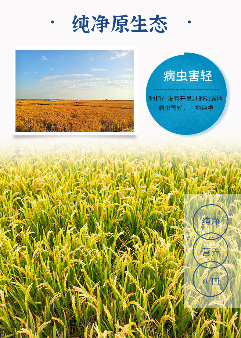 唐河富硒大米（富硒的大米）-硒宝网