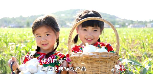 东台富硒大米(富硒东北大米)-硒宝网