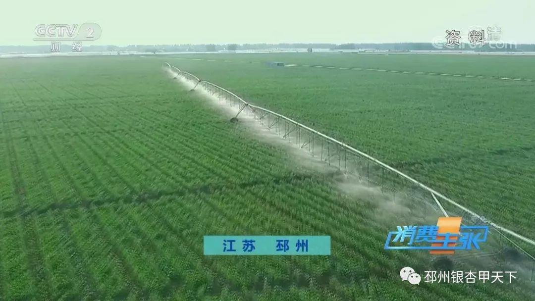 东台富硒大米(富硒东北大米)-硒宝网