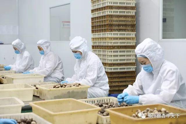 东台富硒大米(富硒东北大米)-硒宝网