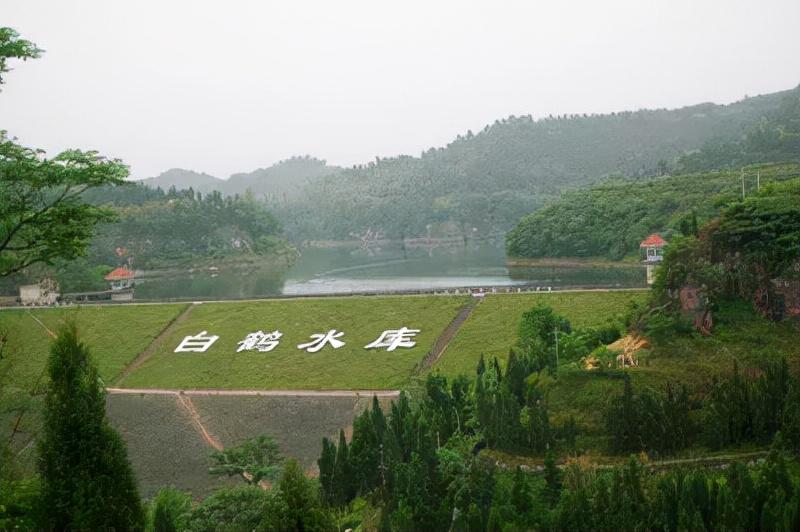 合川富硒大米(大米合川富硒产地)-硒宝网