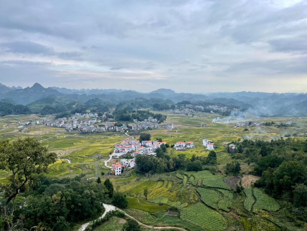 河池富硒大米(富硒大米好在哪)-硒宝网