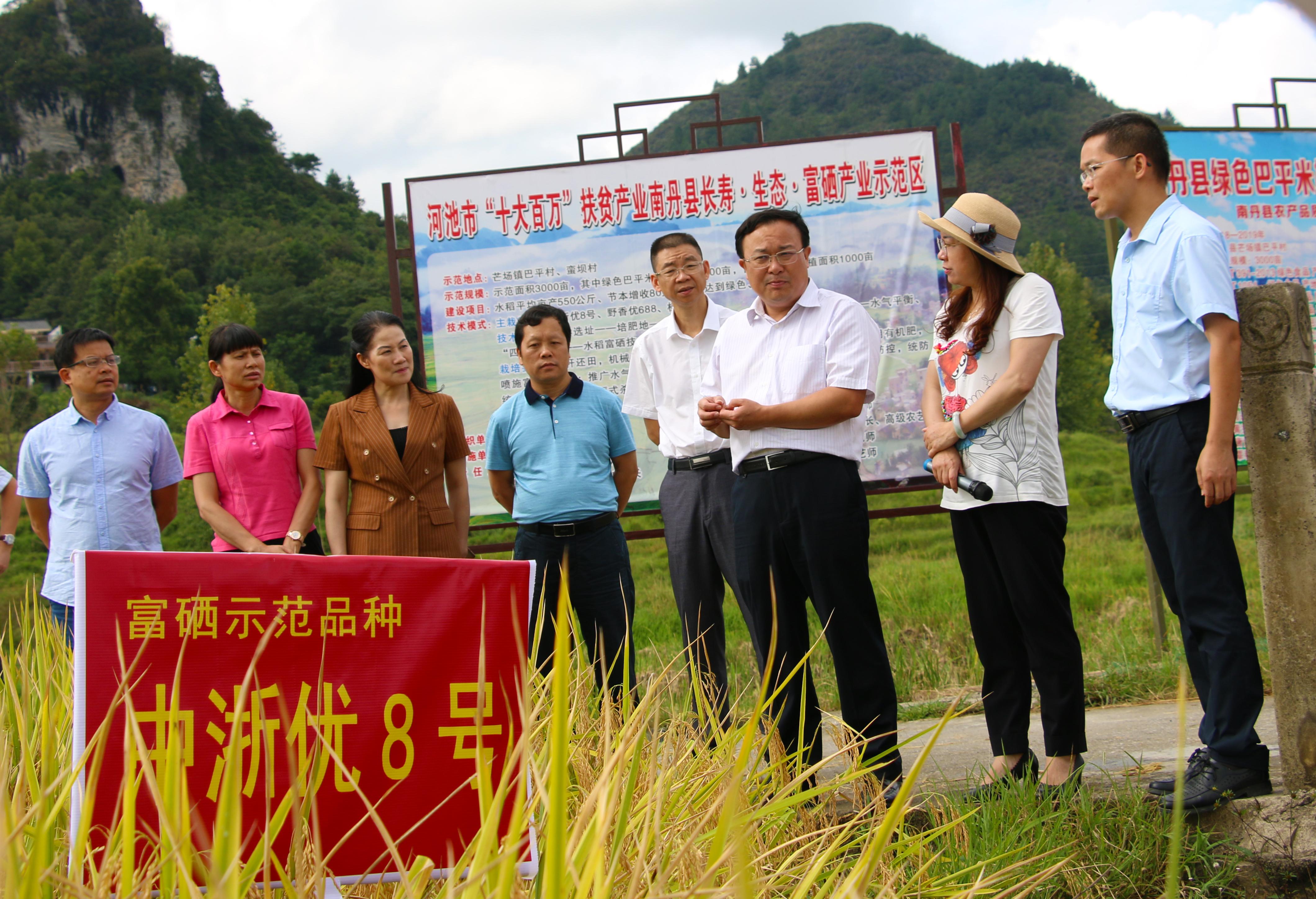 河池富硒大米（广西富硒大米）-硒宝网