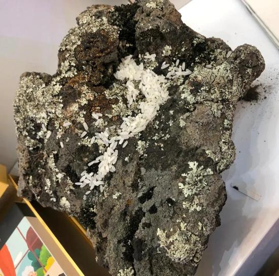 富硒海伦大米（海伦富硒大米好不好）-硒宝网