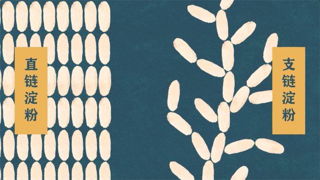 富硒大米之都(大米富硒标准是多少)-硒宝网