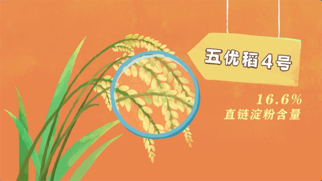 富硒大米之都(大米富硒标准是多少)-硒宝网