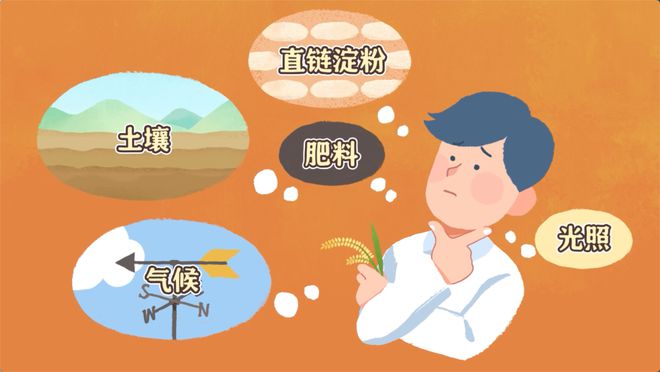 富硒大米之都(大米富硒标准是多少)-硒宝网