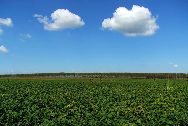 北安富硒大米（大米富硒北安哪里有卖）-硒宝网