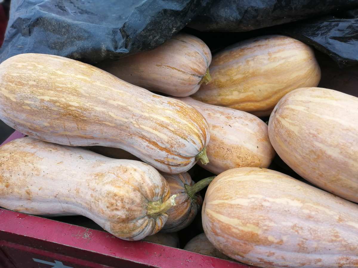 宝宝富硒大米(硒米宝宝可以吃吗)-硒宝网