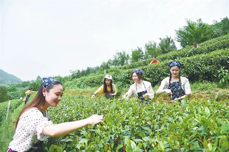 精选富硒大米(富硒优质大米)-硒宝网