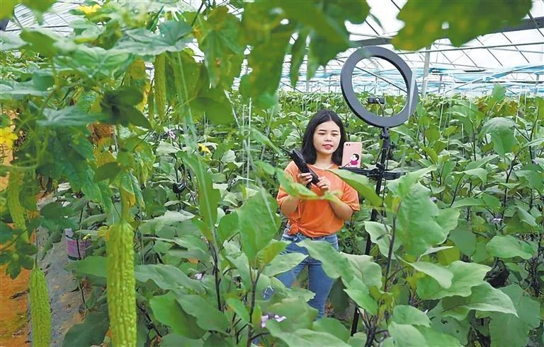 精选富硒大米(富硒优质大米)-硒宝网