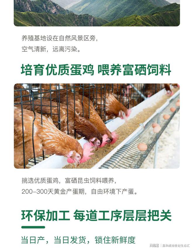 富硒大米鸡蛋(富硒大米能补硒吗)-硒宝网