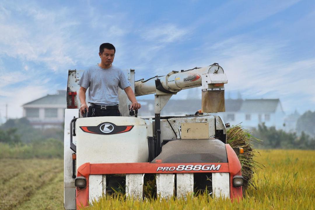 富硒大米盒装（大米盒装富硒标准）-硒宝网