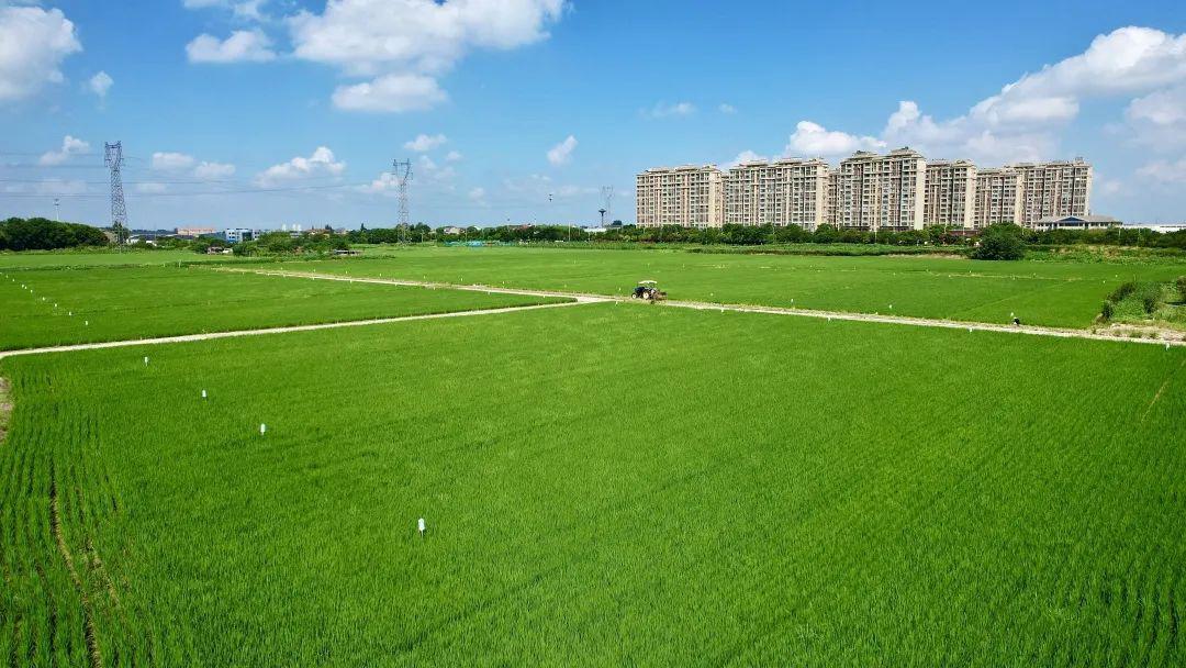 富硒大米盒装（大米盒装富硒标准）-硒宝网